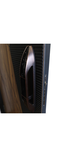 Стальная дверь "Mix". Заказная модель. | Порошковое покрытие 