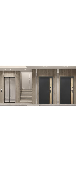 Стальная дверь "Монако". Заказная модель. | Порошковое покрытие 