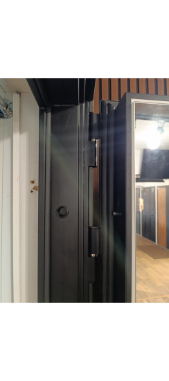 Стальная дверь "Ferrum" с зеркалом (адаптивная замковая часть) | Порошковое покрытие 