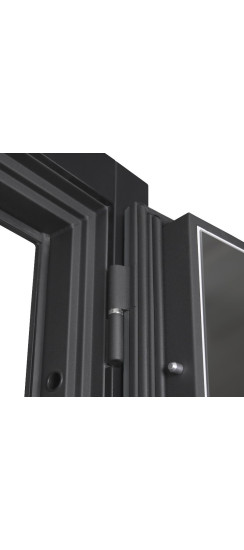 Стальная дверь "Агава" с зеркалом. Заказная модель. | Порошковое покрытие 