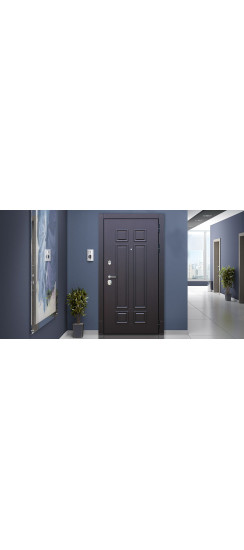 Стальная дверь "Виват" с зеркалом. Заказная модель. | Порошковое покрытие 