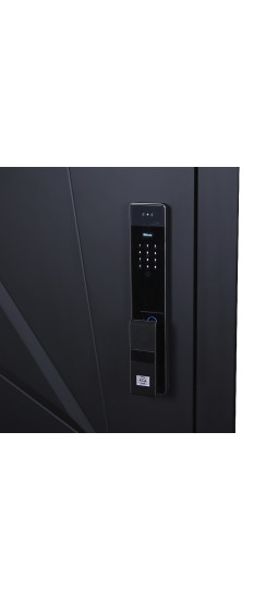 Стальная дверь "Обсидиан" 3Д (биометрический замок). Заказная модель. | Порошковое покрытие 