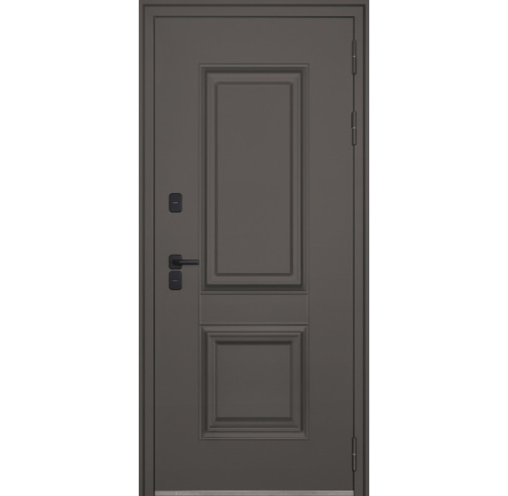 Стальная дверь "Коралл" (терморазрыв 3к). Заказная модель. | Порошковое покрытие 