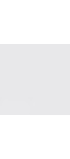 Стальная дверь "Divina". Заказная модель. | Порошковое покрытие 