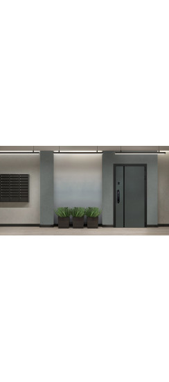 Стальная дверь Лион (биометрический замок) | Порошковое покрытие 