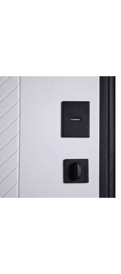 Стальная дверь "Лима" (биометрический замок). Заказная модель. | Порошковое покрытие 