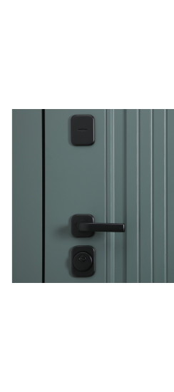 Стальная дверь "Афина". Заказная модель. | Порошковое покрытие 