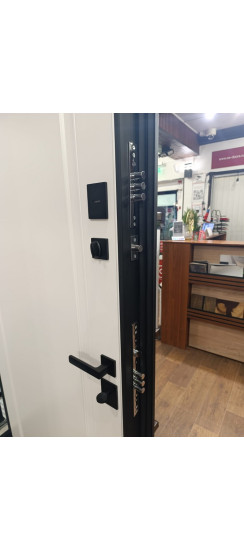 Стальная дверь "Амстердам". Заказная модель. | Порошковое покрытие 