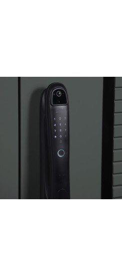 Стальная дверь "Ferrum" с зеркалом (биометрический замок). Заказная модель. | Порошковое покрытие 