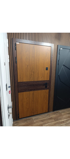 Стальная дверь "Денвер"  (биометрический замок). Заказная модель. | Порошковое покрытие 