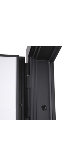 Стальная дверь "Шерл" 3Д (биометрический замок). Заказная модель. | Порошковое покрытие 