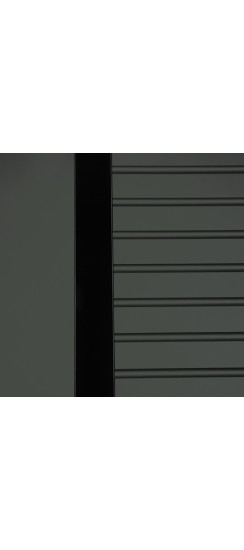 Стальная дверь "Ferrum" с зеркалом (биометрический замок). Заказная модель. | Порошковое покрытие 