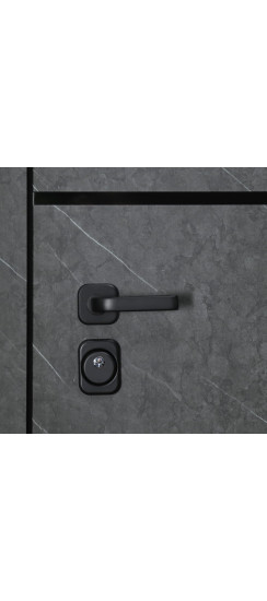 Стальная дверь "Енисей". Заказная модель. | Порошковое покрытие 