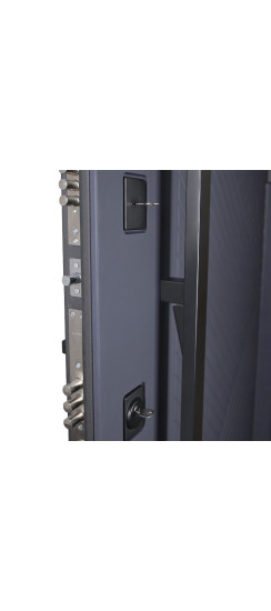 Стальная дверь "Статус". Заказная модель. | Порошковое покрытие 