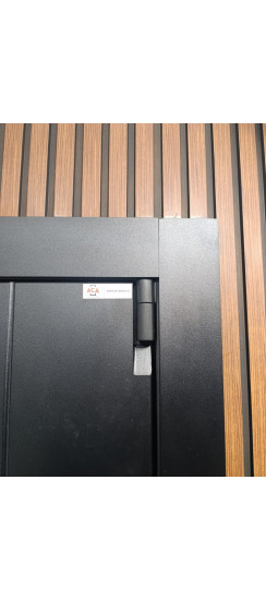 Стальная дверь "Freedom" Заказная модель. | Порошковое покрытие 