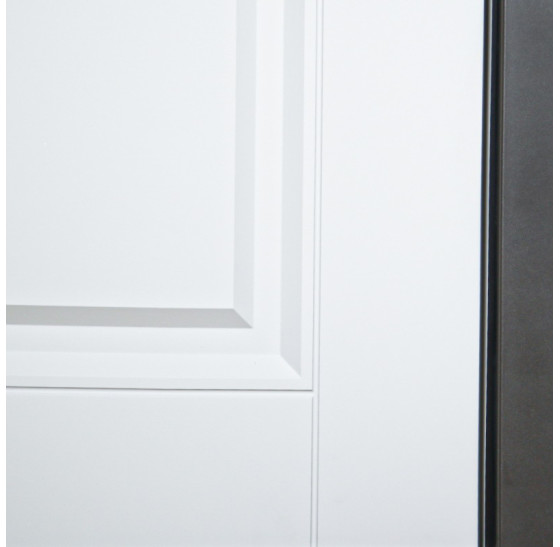 Стальная дверь "Коралл" (терморазрыв 3к). Заказная модель. | Порошковое покрытие 