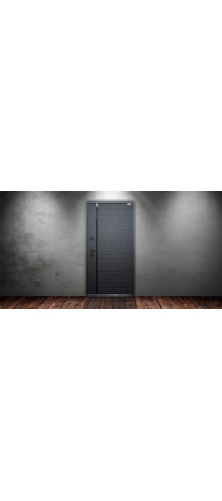 Стальная дверь "Оникс". Заказная модель. | Порошковое покрытие 