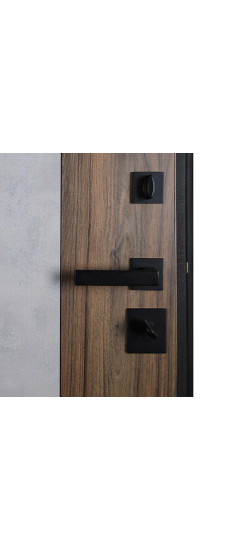 Стальная дверь "Avant". Заказная модель. | Порошковое покрытие 