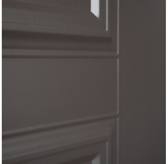 Стальная дверь "Коралл" (терморазрыв 3к). Заказная модель. | Порошковое покрытие 