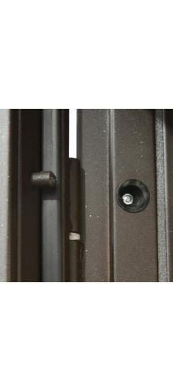 Стальная дверь "Агата 3". Заказная модель. | Порошковое покрытие 