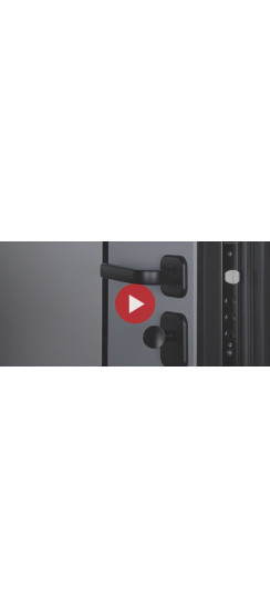 Стальная дверь "Монако". Заказная модель. | Порошковое покрытие 