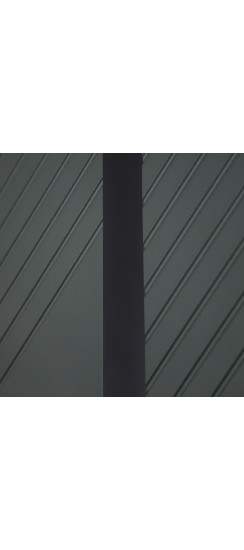 Стальная дверь Лион (биометрический замок) | Порошковое покрытие 