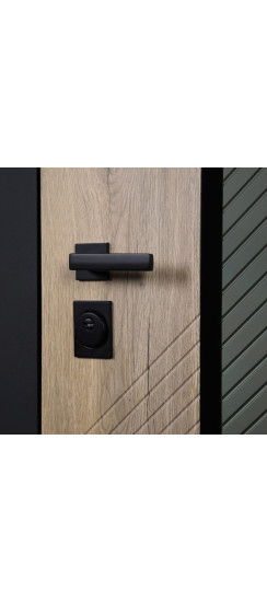 Стальная дверь "Эдинбург" с зеркалом (адаптивная замковая часть) | Порошковое покрытие 