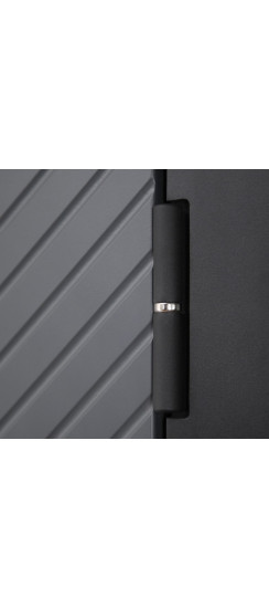 Стальная дверь "Агава" с зеркалом. Заказная модель. | Порошковое покрытие 