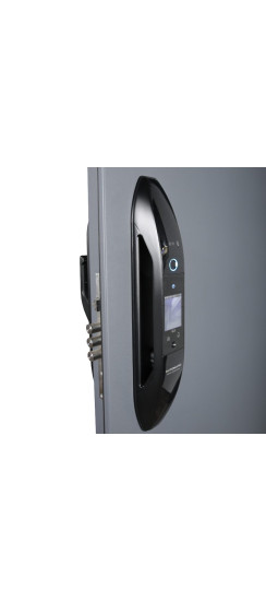 Стальная дверь "Nid". Заказная модель. | Порошковое покрытие 