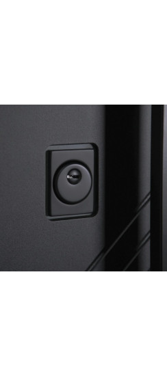 Стальная дверь "Альфа" с зеркалом. Заказная модель. | Порошковое покрытие 