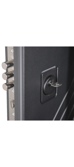 Стальная дверь "Агава" с зеркалом. Заказная модель. | Порошковое покрытие 