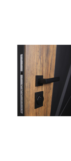 Стальная дверь "Шерл" 3Д. Заказная модель. | Порошковое покрытие 