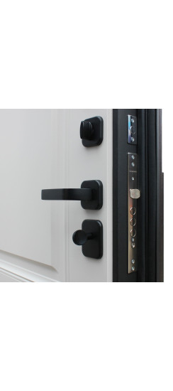 Стальная дверь "Валенсия". Заказная модель. | Порошковое покрытие 