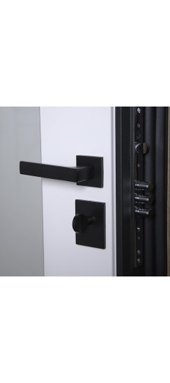 Стальная дверь "Авангард" с зеркалом | Порошковое покрытие 