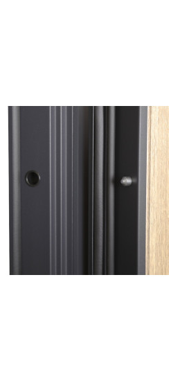 Стальная дверь "Lanua". Заказная модель. | Порошковое покрытие 