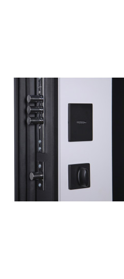 Стальная дверь "Гавана" (биометрический замок). Заказная модель. | Порошковое покрытие 