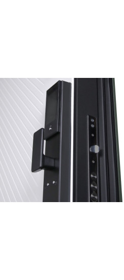 Стальная дверь Лион (биометрический замок) | Порошковое покрытие 