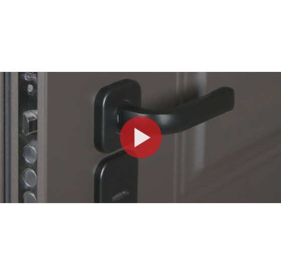 Стальная дверь "Коралл" (терморазрыв 3к). Заказная модель. | Порошковое покрытие 