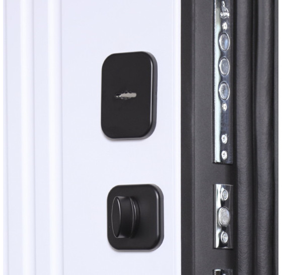 Стальная дверь «Урбан». Заказная модель. | Порошковое покрытие 