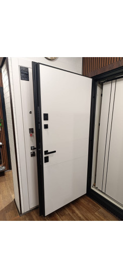 Стальная дверь "Денвер"  (биометрический замок). Заказная модель. | Порошковое покрытие 