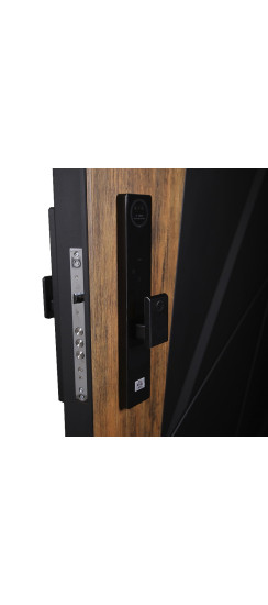 Стальная дверь "Шерл" 3Д (биометрический замок). Заказная модель. | Порошковое покрытие 