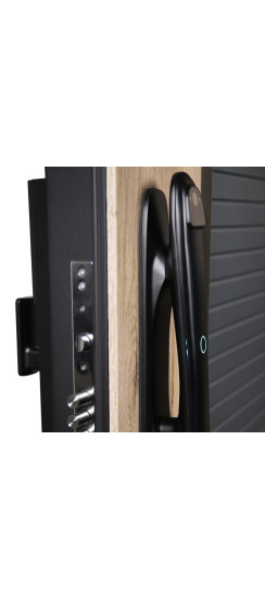 Стальная дверь "Авангард" (биометрический замок) | Порошковое покрытие 