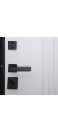 Стальная дверь "Tesoro". Заказная модель. | Порошковое покрытие 