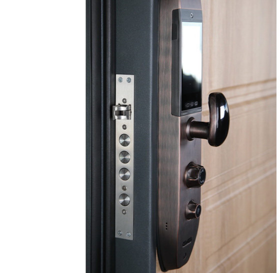 Стальная дверь "Royal". Заказная модель. | Порошковое покрытие 