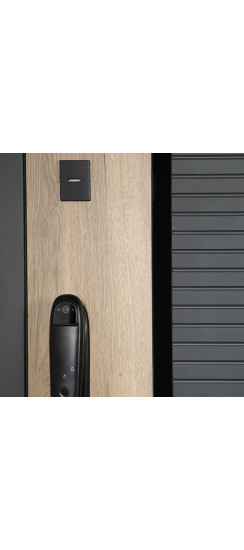 Стальная дверь "Авангард" (биометрический замок) | Порошковое покрытие 