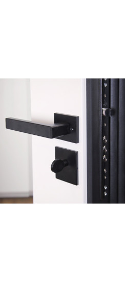 Стальная дверь "Берилл" с зеркалом (умная дверная ручка). Заказная модель. | Порошковое покрытие 