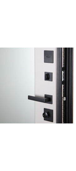 Стальная дверь "Фаворит" с матовым зеркалом. Заказная модель. | Порошковое покрытие 