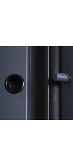 Стальная дверь "Оникс". Заказная модель. | Порошковое покрытие 