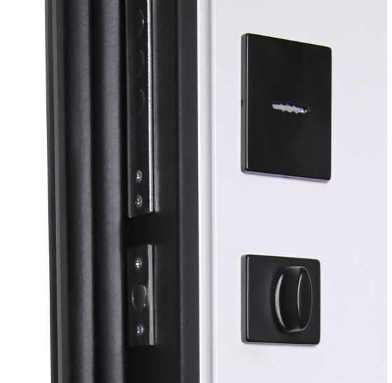 Стальная дверь "Silver" с зеркалом (биометрический замок) | Порошковое покрытие 