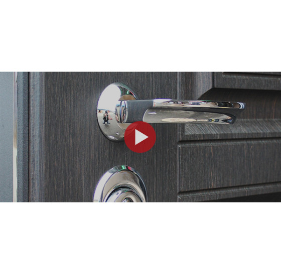 Стальная дверь "Гермес NEW". Заказная модель. | Порошковое покрытие 